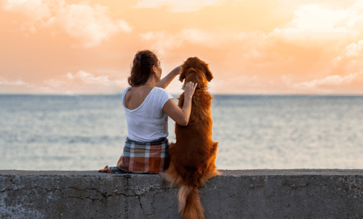 A woman and her dog looking out over the ocean with orange skys